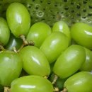 서훈태한의원 이미지