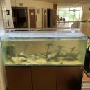 변산중학교 이미지