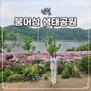 데이지동물병원 | 전북 임실 옥정호 붕어섬 생태공원 입장료 맛집 애견동반 동물 등록 필수 여행