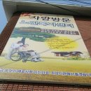 자양방문노인복지센터 | 자양방문요양센터,춘천시,신북읍,산천리,홍천,화천,방문요양,재가요양,재가복지