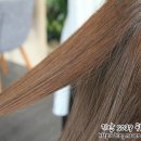 1st HAIR(퍼스트 헤어)
