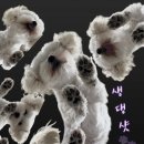 생글댕글 이미지