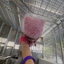 후키랜드 | [KEYLAND: Uncanny Valley] 키랜드 싱가폴 후기💙