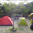 삼가-30 이미지