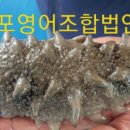 미포영어조합법인 이미지