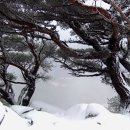 얼음천국