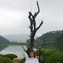 금산군 교통약자 이동지원센터 이미지