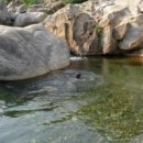 옥룡숲속의아침 이미지