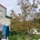 홍티마을회관 이미지