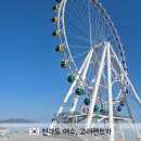 (유)그린렌트카 | 여수여행 렌트 추천 여수공항 여수엑스포역 고려렌트카