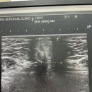 선항병원 이미지