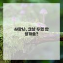 첫사랑니치과의원 이미지