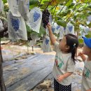 서머힐어린이집 이미지