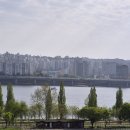 상암명가공인중개사사무소 | 이촌동 신동아 31평 매매: 화이트톤 올수리로 빛나는 '정원의 집'