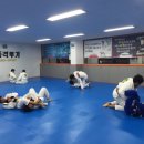 대구이종격투기 이미지