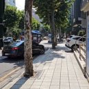 수영조은약국 | [역삼하나이비인후과] 수술 후 진료 6회차 ~ 7회차까지