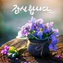 #[아침을여는지혜]-2023년 7월 10일-주요뉴스 이미지