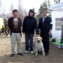 애견전람회 이미지