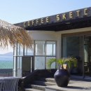 애견스케치 이미지