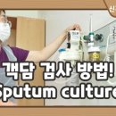 객담[sputum]이란? 이미지