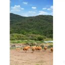 신촌한우농장 이미지