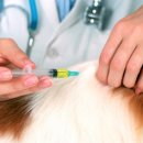 신제주동물약국 이미지