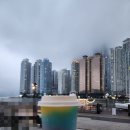더보리치킨 | 부산 더베이101 맛집, 보리에 로티세리 딥버터 로스트 치킨 후기