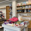 봉쥬르멍멍 이미지