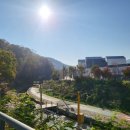 내곡동417 이미지