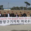 엠앤에스인터내셔널