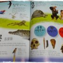 세계로풍덩