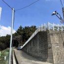 부산애견호텔 24시 강아지 유치원 미용 도그드림 서면점 이미지