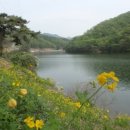 고산낚시터 이미지