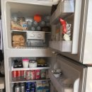 코즈게스트하우스 | 제주도 코즈(Coz) 산방산,오설록 숙소추천&amp;후기