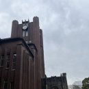 카페토핑(Cafe Toping) | [일본 도쿄/카페] 도쿄대 식사 가능한 감성 카페 <유메지카페 yumeji cafe> | 메뉴 추천