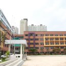 새정천 이미지