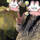 늘 함께하 개 | 🍀🔮 2025 펜타포트 페스티벌 3일차 후기_2탄