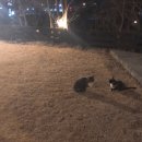 가평모닝필하우스 이미지