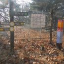 김재로묘 이미지