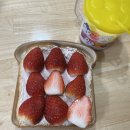 제임스딘롯데마트 - 창원시 마산합포구 신마산시장길 33 | 20대 여성의 평범한 함냐함냐 일상