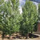 도성목장 이미지