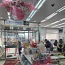 개단장 | 다이소신상! 봄 집단장&amp; 봄봄시리즈 가성비추천템(feat,품번/디테일 실물후기)