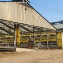 부여한우농장 이미지