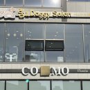 림&Doggy Salon 이미지