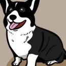 세이브독 이미지