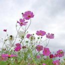 발산역 5번출구 이미지