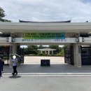 국립경주박물관 티스토리