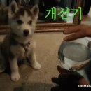 제주늘보의오후 이미지