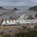 1004섬수석미술관 이미지