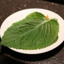 민물숯불장어 이미지